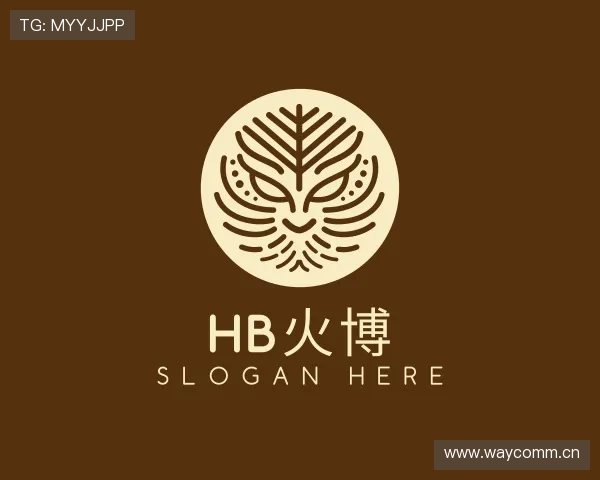 介绍HB火博